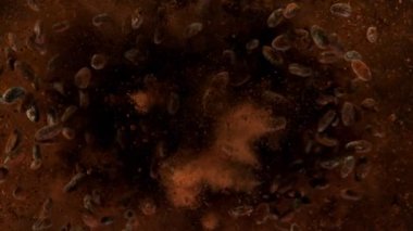 Kavrulmuş kakao çekirdeğinin havada patlaması çok yavaş oluyor. Yüksek hızlı sinema kamerası, 1000fps.