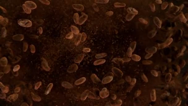 在空气中爆炸烤可可豆的超级慢动作 用高速摄像机拍摄 每秒1000英尺 — 图库视频影像