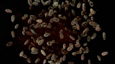 Havada uçuşan kakao çekirdekleri, siyah arka planda izole edilmiş.