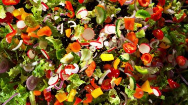 Siyah arka planda izole edilmiş taze sebze karışımının dondurucu hareketi