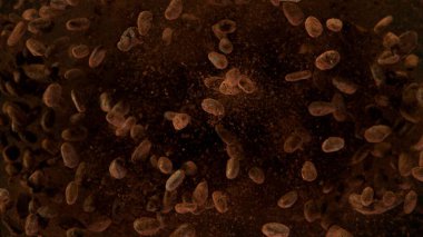 Havada uçuşan kakao çekirdekleri, dondurucu hareketler.