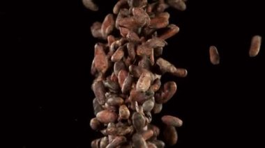 Kavrulmuş kakao çekirdeklerini çok yavaş hareket ettiriyor. Siyah arka planda. Yüksek hızlı sinema kamerası, 1000fps.