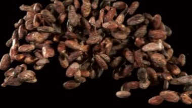 Kavrulmuş kakao çekirdeklerini çok yavaş hareket ettiriyor. Siyah arka planda. Yüksek hızlı sinema kamerası, 1000fps.