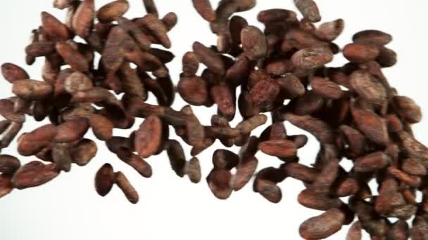 Super Slow Motion Volare Chicchi Cacao Arrosto Collisione Sfondo Bianco — Video Stock