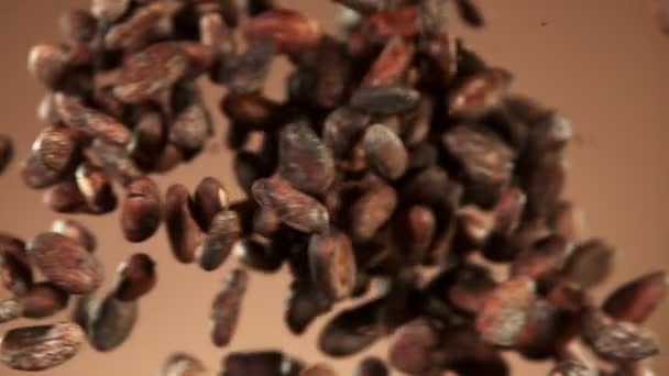 Mouvement Super Lent Des Fèves Cacao Torréfiées Collision Filmé Sur — Video