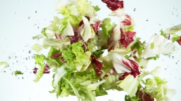 Szuper lassított felvételű mix saláta repül a levegőben a víz fröccsenés. Nagysebességű mozi kamera, 1000 fps.
