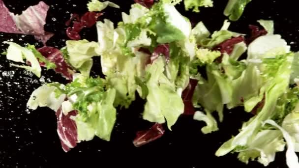 Super Slow Motion Mescolare Insalata Che Vola Aria Con Spruzzi — Video Stock