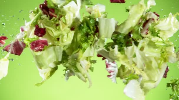 Mișcarea Super Lentă Salatei Amestec Care Zboară Aer Stropi Apă — Videoclip de stoc