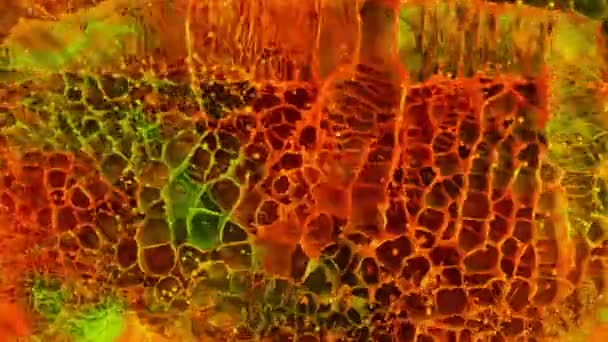 Super Cámara Lenta Salpicaduras Color Abstracto Explosiones Filmadas Desde Parte — Vídeo de stock