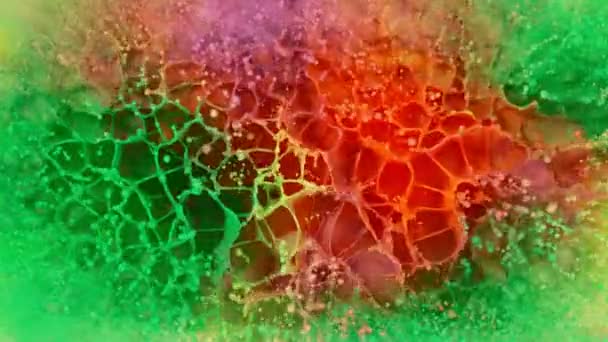 Super Slow Motion Abstract Colored Splashes Explosions Filmed Top Filmé — Video