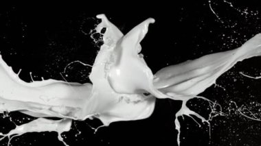 Uçan sütün süper yavaş çekimi siyah arka planda sıçrıyor. Yüksek hızlı sinema kamerası, 1000 fps..