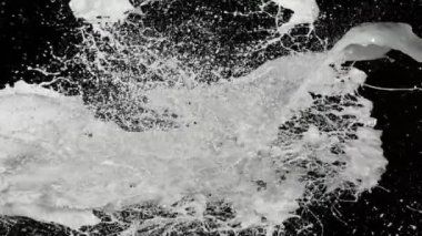 Uçan sütün süper yavaş çekimi siyah arka planda sıçrıyor. Yüksek hızlı sinema kamerası, 1000 fps..