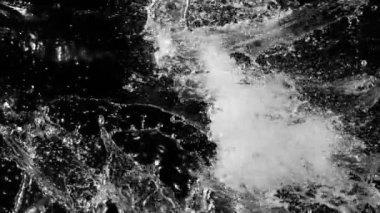 Uçan sütün süper yavaş çekimi siyah arka planda sıçrıyor. Yüksek hızlı sinema kamerası, 1000 fps..