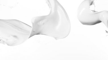 Uçan sütün beyaz arka planda çok yavaş sıçraması. Yüksek hızlı sinema kamerası, 1000 fps..