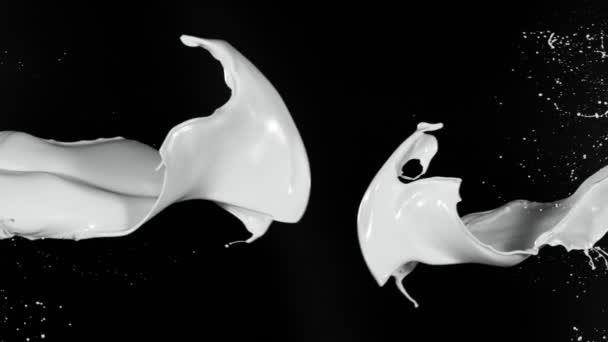 Super Slow Motion Flying Milk Splashes Black Background Filmed High — Stock Video