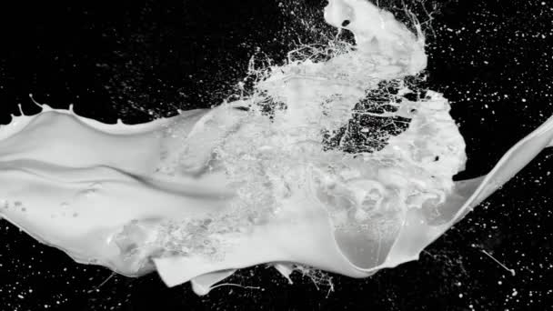 Super Slow Motion Flying Milk Splashes Black Background Filmed High — Stock Video