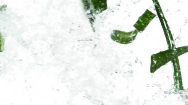 Su sıçramalarıyla havada uçan aloe vera parçalarının süper yavaş çekimi. Yüksek hızlı sinema kamerası, 1000 fps..