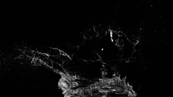 黒の背景に水冠形状を水しぶきの超スローモーション 高速シネマカメラ 1000Fpsで撮影 — ストック動画