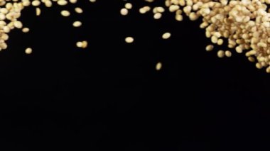 Havada uçan soya parçalarının süper yavaş çekimi. Yüksek hızlı sinema kamerası, 1000 fps..