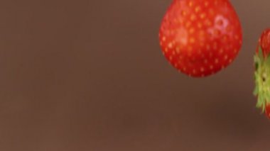 Çilekli siyah çikolata koymanın süper yavaş bir yolu. Sinema, yüksek hızlı kamera, 1000fps.