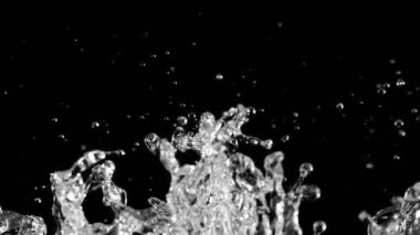 Suyun çok yavaş sıçraması, siyah arka plan. Yüksek hızlı sinema kamerası, 1000fps.