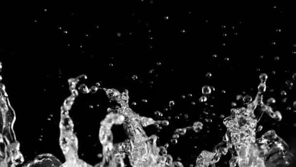 水しぶきの超遅い動き 黒の背景 高速シネマカメラ 1000Fpsで撮影 — ストック動画