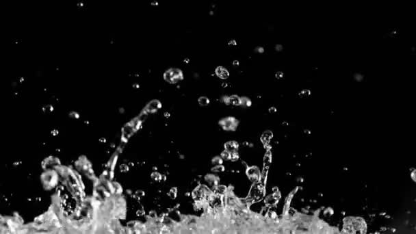 Suyun Çok Yavaş Sıçraması Siyah Arka Plan Yüksek Hızlı Sinema — Stok video