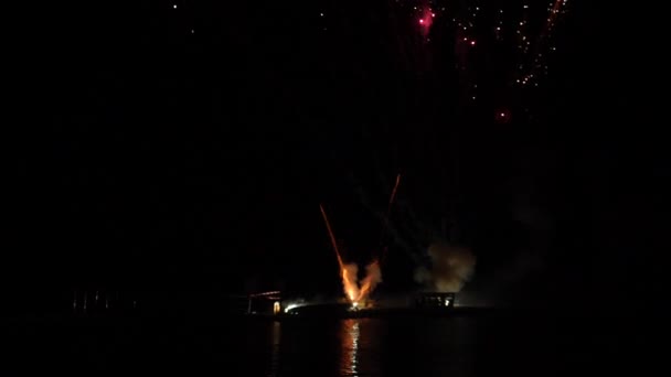 Coloridos fuegos artificiales reales en la noche de vacaciones en cámara lenta — Vídeos de Stock