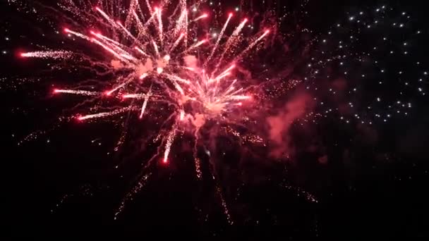 Coloridos fuegos artificiales reales en la noche de vacaciones en cámara lenta — Vídeos de Stock