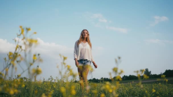 Menina sorrindo beleza no campo de primavera. Meadow. Retrato de Rindo e feliz jovem modelo mulher com cabelos longos e saudáveis soprando Apreciando a natureza. bela jovem mulher ao ar livre — Vídeo de Stock