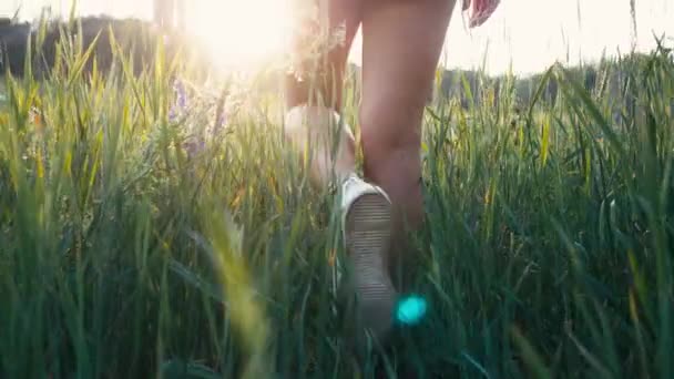 Mujer hermosa joven en zapatillas de deporte y pantalones cortos caminando en el prado con hierba verde naturaleza video en cámara lenta. Chica en el campo piernas al atardecer primer plano en la silueta de estilo de vida luz del sol hierba — Vídeo de stock