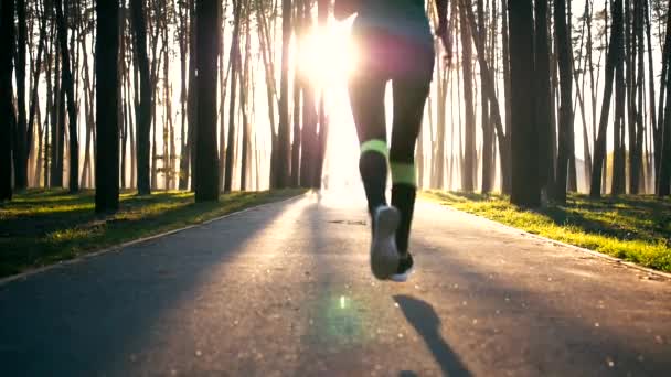 Ung kvinna börja springa mycket snabbt. Hon gör det i parken. Modell som jogging. Hon springer så fort hon kan. Det är soligt utanför. — Stockvideo