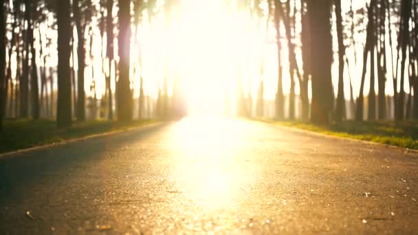 Corredor feminino magro e bem construído correndo muito rápido. Ela sai da luz do sol. Menina correndo em estrada pequena. Ela passa câmera muito rápido . — Vídeo de Stock