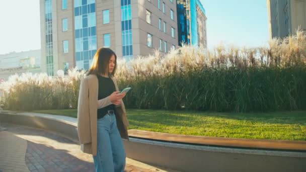 Portrét krásné módní Smíšené rasy bokovky žena nosí svetr a džíny. Ona používá smartphone textových zpráv sms nebo procházení interrnet chůzi ve veřejném parku — Stock video