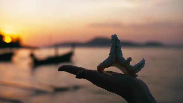 Strand schelpen gehouden door vrouw hand in een tropisch paradijs — Stockvideo