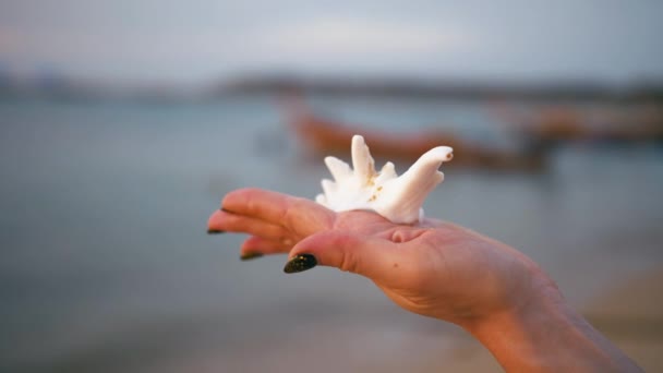 Beach Shells Held Woman Hand Tropical Paradise — Αρχείο Βίντεο