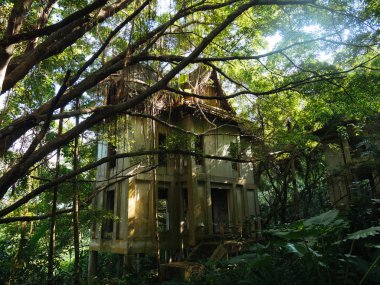 Hotel resort orman orman, Asya bitkiler tarafından büyümüş terk edilmiş. Doğaya karşı şehir