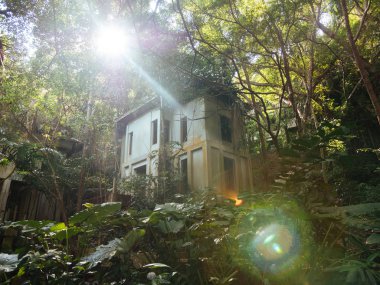 Hotel resort orman orman, Asya bitkiler tarafından büyümüş terk edilmiş. Doğaya karşı şehir