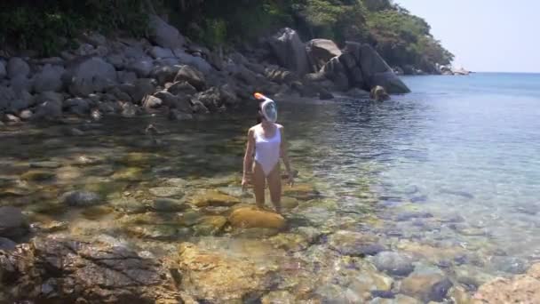 Junge Frau schnorchelt im blauen tropischen Wasser und trägt weißen Badeanzug — Stockvideo