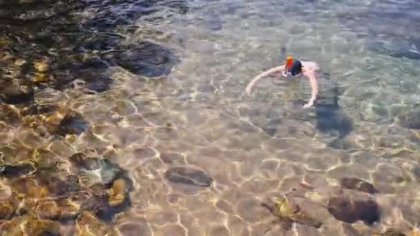 Jeune femme plongée avec tuba dans l'eau tropicale bleue portant un maillot de bain blanc — Video