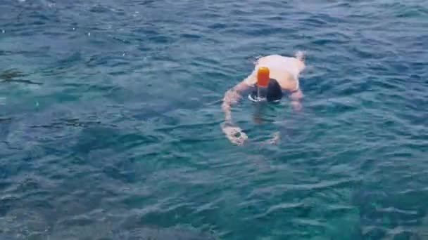 Jeune femme plongée avec tuba et faire de la vidéo photo sous-marine avec téléphone portable en mer tropicale — Video