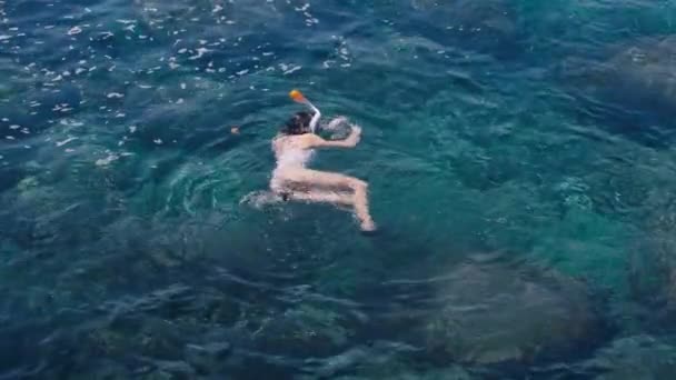 Jonge vrouw snorkelen en maken van onderwater foto video met mobiele telefoon in tropische zee — Stockvideo