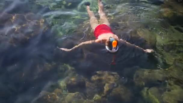 Young woman snorkeling in the blue tropical water wearing red swimsuit — Stock Video