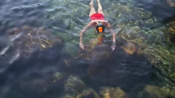 Jonge vrouw snorkelen in de blauwe tropische water dragen rode zwembroek — Stockvideo