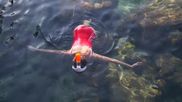 Mujer joven buceando en el azul del agua tropical usando traje de baño rojo — Vídeos de Stock