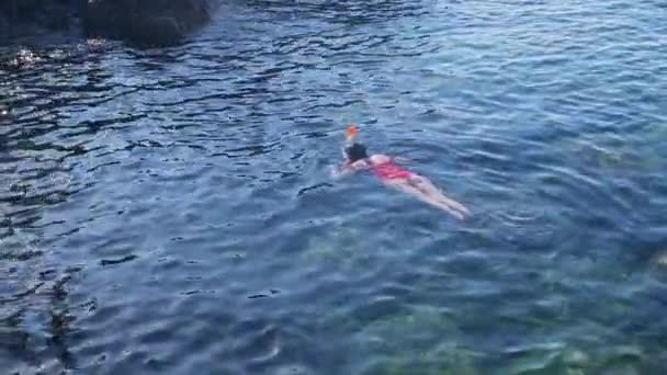Девушка ныряет с маской в голубой тропической воде в красном купальнике — стоковое видео