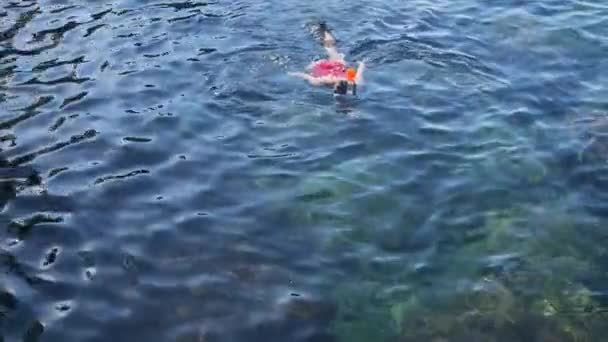 Młoda kobieta z rurką w niebieski tropikalne wody na sobie czerwony strój kąpielowy — Wideo stockowe
