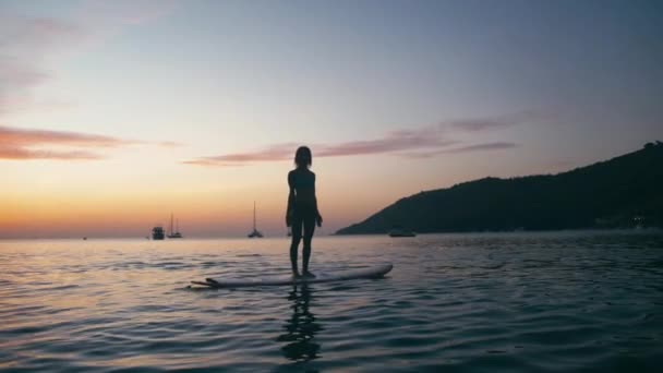 Junge Frau macht Yoga auf Surfbrett mit Paddel bei Sonnenuntergang — Stockvideo