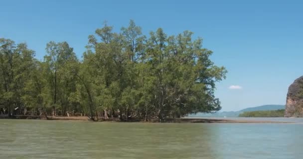 Mangrove erdő biom Phang Nga bay Nemzeti Park, fontos biom ökológia — Stock videók