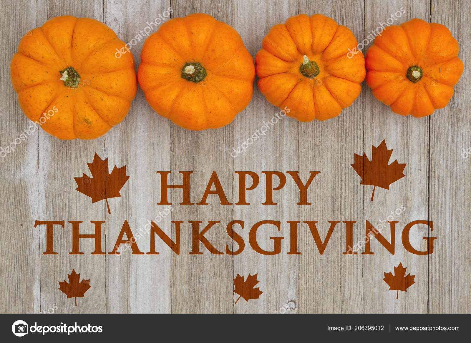 감사절 호박과 메이플 인사말 — 스톡 사진 © karenr #206395012, image size:1600x1167